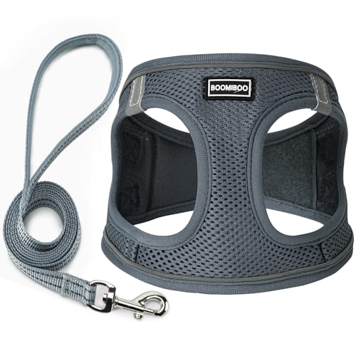 Dog Harness with Leash Set, Step-in Adjustable Puppy Pet Vest, Grey XXS | Lightweight Breathable Air Mesh, Night Safety Reflective, No Pull Puppy Vest Harnesses for Small Medium Large Dogs, Cats - color: Grey, size: XXS(Chest:10"-12")