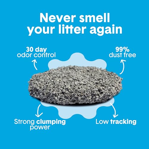 Boxie Premium Unscented Clumping Cat Litter 30 Day Odour Control 40 lb - size: 40 lb