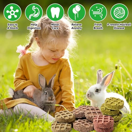 Tfwadmx 10Pcs Bunny Chew Toys Small Animal Molar Toys Natural Fruit & Veg Strawberry Papaya Oat Cake Treats Molar Teeth Rabbit Chew Toys for Guinea Pig Hamster Bunny Chinchilla