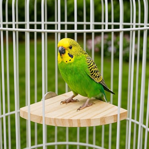 2PCS Bird Perch Platform Flat, Fan Shape and Rectangle Bird Cage Platform, 5.9 × 3.14 Inches Birds Perch Stand Platforms with Stainless Steel Washers for Cockatiel Rat Hamster Guinea Pig Conure