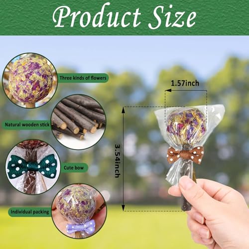 kathson 16PCS Rabbit Timothy Hay Treats Sticks,Interactive Bunny Lollipop Chew Sticks,Natural Guinea Pigs Chewing Treats Molar Teeth Toys for Small Animals,Chinchilla,Hamster,Gerbil