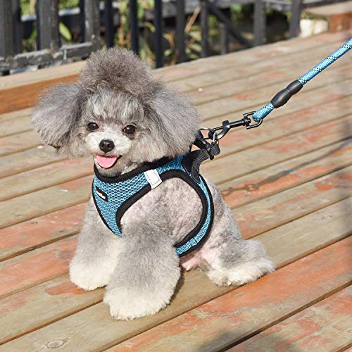 Dog Harness Step-in Breathable Puppy Cat Dog Vest Harnesses for Small Medium Dogs - color: Blue, size: X-Small (Chest 10''-11.5'', Weight 5-8 lb)