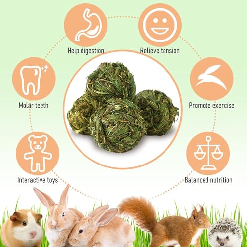 Hamiledyi 4 Pcs Rabbit Chew Ball Timothy Grass Ball Small Animal Activity Play Chew Toys Teeth Grinding for Bunny Rabbits Hamster Guinea Pigs Gerbils Chinchillas - style: Round 4 PCS