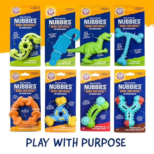 Arm & Hammer Nubbies T-Rex Dog Dental Chew Toy, Mint Flavor | Nylon construction, baking soda infused, reduces plaque and tartar without brushing, moderate chewers - color: Green T-Rex, size: 1 Count