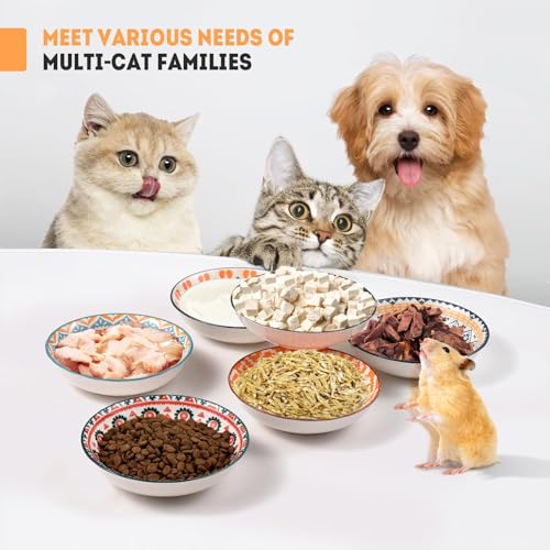 Cat Food Bowl, 6 Pack Ceramic Cat Dishes for Food & Water, Kitten Bowls Set | 5.5" Shallow Feeding Bowls for Wet Meals, Kibble & Water, Whisker Friendly Wide Plates for Cats, Dishwasher & Microwave Safe - size: Boho–6 Pack
