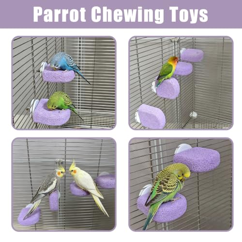 4Pack Bird Perch Stands Parrot Beak Grinding Stone Platform,Purple-S | Parakeet Foot Claws Trimmer,Calcium Perch Climbing Chewing Toys for Small Medium Birds Cockatiel Conure Lovebird Budgie - color: 4Pack Purple | S
