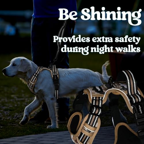 rabbitgoo Dog Harness Small Sized, Updated Easy On & Off with 3 Buckles | No Pull No Choke, Walking with 2 Clips and Handle, Adjustable Soft Reflective, Desert Ridge, Small - color: Desert Ridge, size: Small