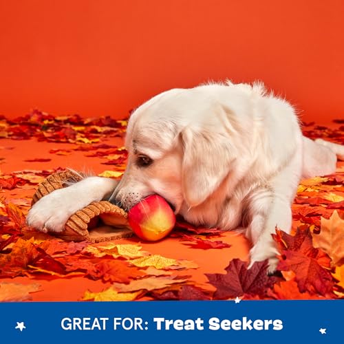 BarkBox Them Apples 3-in-1 Interactive Plush Dog Toy | Squeaky Dog Chew Toy with Crinkle Layers - For Small Dogs and Puppies - color: Them Apples