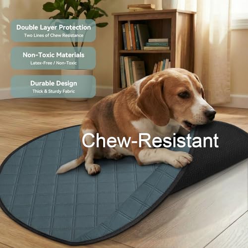Siedihit Washable Reusable Pet Pee Pads, Absorbent Non-Slip Training Mat | for Dog Cat Rabbit Puppy Kitten, Whelping Playpen Crate Bed Cage Home Indoor Outdoor (Large - 2pack, Round) - size: Large - 2pack