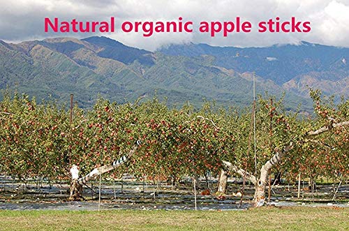 TAI JI Apple Sticks Small Animals Chew Toys for Chinchillas Guinea Pigs Rabbits Hamsters Squirrels (3.6oz(100g)) - size: 3.6 Ounce (Pack of 1)