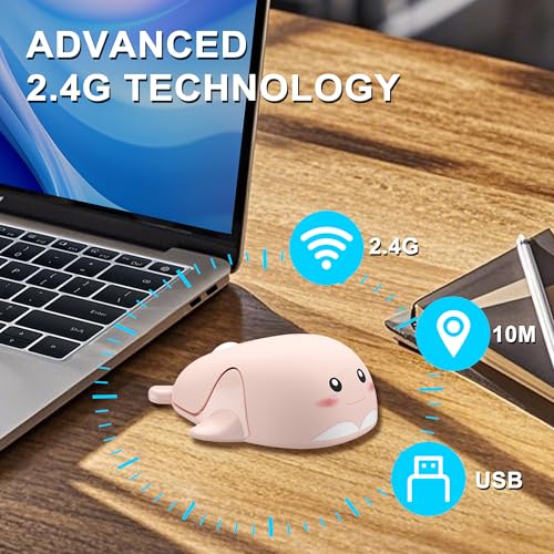 CHUYI Cute Animal Dolphin Shape Wireless Silent Mouse Frosted Cartoon Portable Travel Mute 1600DPI Novelty Optical Unique Cordless Quiet Mice for Computer Laptop PC Gift (1 Pack-Pink) - color: Pink Dolphin