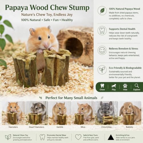 Natural Dried Papaya Block Chew Toys, 8 Pcs Organic Papaya Stump Molar Treats, Healthy Teeth Grinding Chews for Rabbits, Guinea Pigs, Chinchillas, Hamsters, Small Animal Foraging Snack