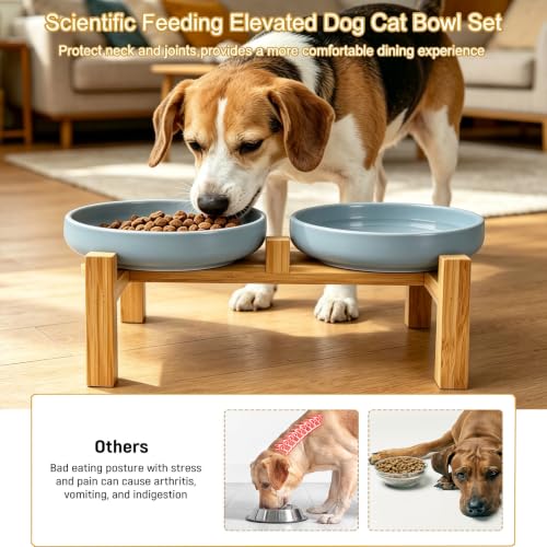 Shallow Elevated Cat Bowls with Bamboo Stand, 6.1 Inch Wide Ceramic Cat Dish Whisker Friendly, 2 Pack Pet Food and Water Plates - color: Grey elevated