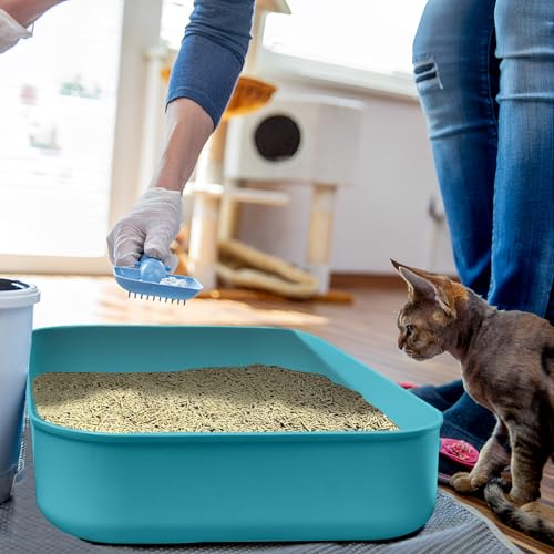 Small Litter Box, Plastic Kitten Litter Box, 13.9 x 9.8 x 3 Inch Open Litter Box for Small Pet, Easy to Clean (Blue 4PCS) - color: Blue 4PCS