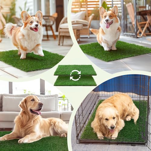 LOOBANI Dog Grass Pee Pads, 2 Pack Artificial Grass for Potty Tray, 18x23in | Replacement Turf, Pet-Friendly, Easy to Clean, Washable, Fake Grass Mat for Puppy to Pee on, Outdoor Indoor Pee Grass Patch - size: 18*23 inch