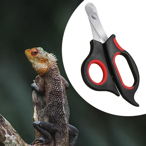 Bearded Dragon Nail Clippers with Precise Angled Edges | Stainless Steel Bearded Dragon Toe Nail Clippers (Reddish Black) - color: Reddish Black