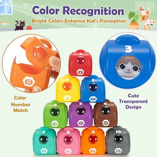 Learning Toys for Toddlers 1 2 3 Year Old Toddlers, 20Pcs Kitten Finger Puppets for Kids, Montessori Counting, Matching & Sorting Toy, Christmas Birthday Gifts for Baby Boys Girls Age 12-18 Months - style: KITTEN