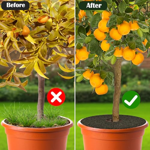 4pcs Double Side Rubber Tree Mulch Ring, 12In Heavy Duty Recycled Rubber Mulch Mat Natural Look Tree Root Protector Mat Reversible Round Tree Ring for Prevent Animal Dig, (Green Brown) - color: Green-4