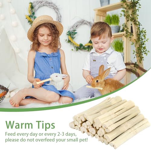 300g Sweet Bamboo Sticks for Rabbits, Bunny Chew Toys for Small Pets | Natural Bamboo Chews for Rabbits, Chinchillas, Guinea Pigs, Hamsters, Squirrels,and Small Animal Teeth Grinding