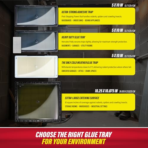 Catchmaster Rat, Snake and Mouse Traps 8Pk, Large Bulk Glue Rat Traps for Home, Adhesive Plastic Tray for Inside House, Snake, Mice, & Spider Catcher, Pest Control for House & Garage - size: 8 Pack, style: 8 Regular
