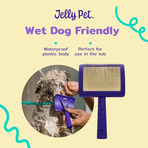 Jelly Pet Universal Slicker Brush for Dogs, Dog Grooming Brush, Remove Tangles and Dead Undercoat, Tuffer Than Tangles Maltese Shi-Tzu Poodle Bichon, Soft Pins, Purple, Small - color: Purple, size: Small (2.5 in x 4 in) - Pins (Soft)