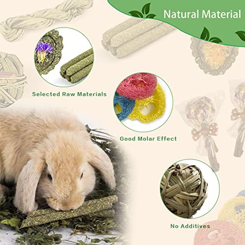 Rabbit Chew Toys for Teeth, 16PCS Natural Timothy Hay Chew Toy, Improve Dental Health for Bunny/Chinchilla/Guinea Pig/Hamsters/Holland Lop, Small Rodent Pet Molar Teeth Treats Toys - size: 16 PCS