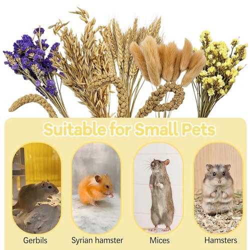 Natural Hamster Flower & Herb Habitat Deocr, Edible Hamster Sprays Flowers Bedding Mate, Hamsters Cage Enrichment Decoration Accessories for Gerbil Dwarf Syrian Hamsters Guinea Pig Mice