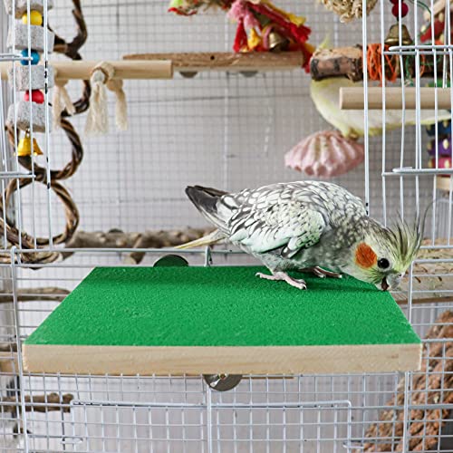Dnoifne 7.9×5.9 Inches Large Bird Perch Stand Platform, Natural Wooden Bird Cage Accessories, Bird Stand Perch with Rough Quartz Sand Surface for Parrot, Parakeet, Budgies, Cockatiel, Rats - size: 7.9 × 5.9 Inches Green