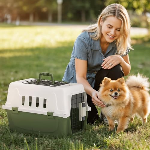 Magshion 18 Inch Hard-Sided Dog Cat Carrier, Green | Top and Front Door Access, Plastic Dog Kennel for Longer Traveling, Durable Handle and 4 Sides Ventilation, For Pet Up 20 lbs - size: 18.0"L x 10.5"W x 12.0"H
