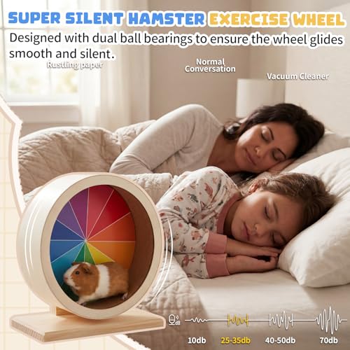 9 Inch Hamster Wooden Silent Wheel, Rainbow Printed Small Animal Exercise Wheel, Quiet Spinner Hamster Running Wheels Prevent Depression Toys for Hamsters, Gerbils, Mice and Other Small Pets - size: Medium