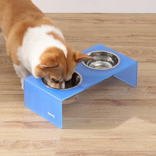 DBL2000C Keaton 5" Small/Medium Modern Acrylic Rectangular Elevated Pet Feeder with 20oz 2-Stainless Steel Bowls, Blue/Chrome - color: Blue/Chrome, size: 20 Ounces (5" Cups 2-Pack)