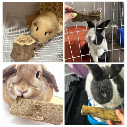 Bunny Chew Toys for Teeth Guinea Pig Treats Papaya Wood for Rabbit (3.5oz) | bunny supplies,rabbit enrichment toys,rabbit stuff,for bunny guinea pig chinchilla Hamster rabbit toys for bunnies boredom - size: 3.5oz（C）