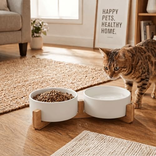 SPUNKYJUNKY Ceramic Dog and Cat Bowl with Wood Stand Non-Slip Matte Glaze Weighted Food Water Set for Cats &Small Dogs 13.5 OZ - color: White × 2, size: 1.7 cups