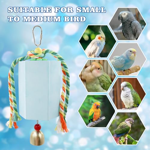Bird Beak Grinding Stone, Parrot Chew Toys with Bells, Parakeet Toys, Cage Accessories for African Grey, Amazon Parrots, Budgies, Cockatiels, Lovebirds, Conures, Quakers, Small to Medium Birds - color: Blue
