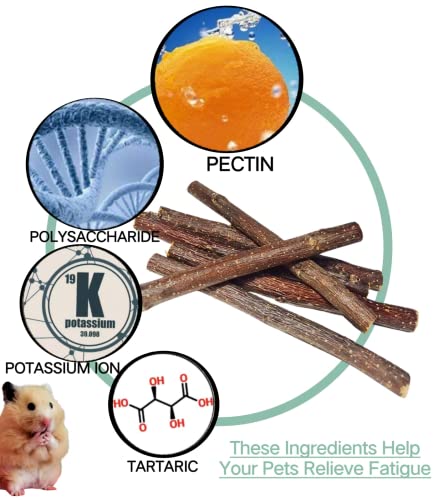 200g Apple Chew Sticks for Small Animals | Chew Toys for Bunny Chinchillas, Rabbits Guinea Pig Hamster Gerbil - style: 7oz
