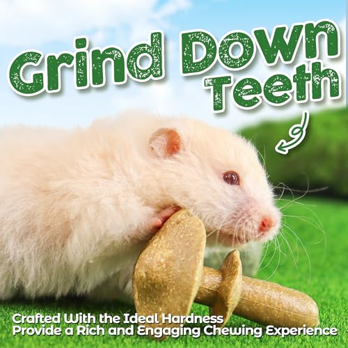 TEEWY Guinea Pig Chew Toys, Prevent Teeth Overgrowth, Natural Timothy Grass & Vegetables, Hamster Chew Toys, Guinea Pig Toys, Chinchilla Toys, 4PCS, Grass Patch & Mushrooms - style: 4PCS-Grass Patch & Mushrooms