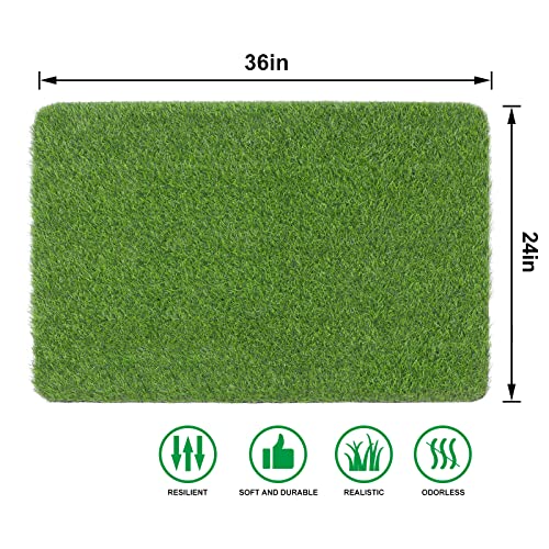 Artificial Grass Door Mat, Fake Grass Rug for Entrance, Dog, 24" x 36" | Realistic look, Durable TPR bottom, Non-Slip, Safety material, Soft underfoot - size: 2' x 3' (Rectangular)