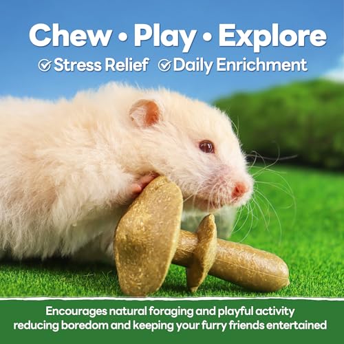 TEEWY 3PCS Guinea Pig Chew Toys, Prevent Teeth Overgrowth, Natural Timothy Grass & Vegetables, Hamster Chew Toys, Guinea Pig Toys, Chinchilla Toys, Mushroom-Shaped - style: 3PCS-Mushrooms