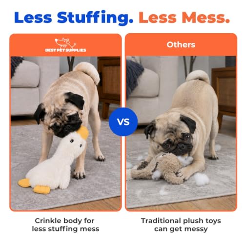 Best Pet Supplies Interactive Squeaky Dog Toy - Crinkle Duck, White | Stuffing Free Body, Soft, Squeaks & Crinkles, No Mess, Perfect for Moderate Chewers, Toss and Fetch Play - color: Crinkle Duck (White), size: Large