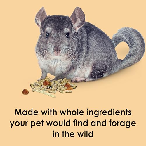 Kaytee Food from the Wild Chinchilla (Chinchilla Food), 3 Pounds | Pet food for gut health. High-fiber pellets. Timothy hay, natural probiotics, no added sugar - size: 3 Pound (Pack of 1)