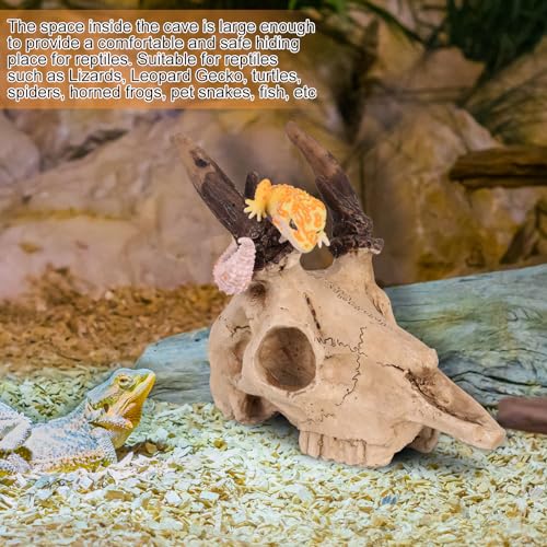 Mini Deer Skull Reptile Hide, Resin Tank Decor for Geckos, Snakes & Spiders | Realistic resin deer skull for terrarium décor; compact cave opening suits spiders, ants, Dubia roaches and other tiny pets.