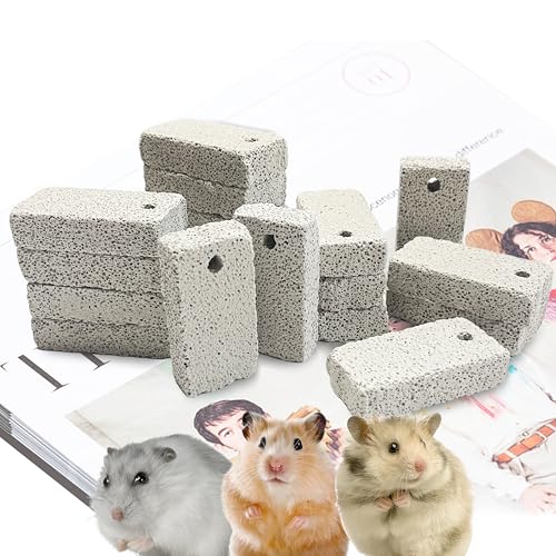 18 Pcs Small Animal Pet Lava Bites Chews Toy Mineral Calcium Stone Bunny Teeth Grinding Block for Hamster Chinchilla Rabbit Squirrel Rat Parrot Guinea Pig