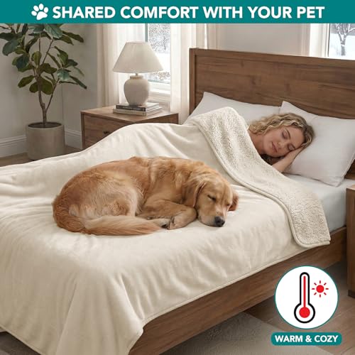 PetAmi Waterproof Dog Blanket Sherpa Fleece, Pet Medium Large Dogs, Reversible Cat Throw Bed Couch Sofa Furniture Protector, Soft Plush Polyester (X-Large 60x80, Beige), X-Large (60x80) - color: Beige, size: X-Large (60x80)