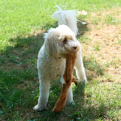 SPOT Skinneeez Fox 23-Inch Stuffing-Free Plush Dog Toy – Realistic Design with 2 Squeakers – Durable, Soft Polyester for Medium & Large Dogs – Tug, Fetch & Shake Play – for Moderate Chewers - style: Fox