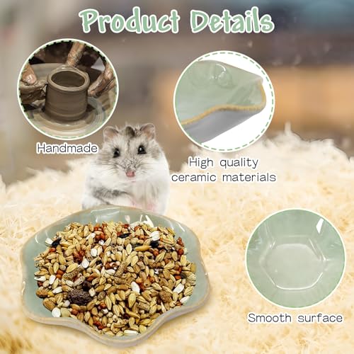 BNOSDM Shallow Ceramic Hamster Food Dish 2 Pcs Small Animals Food Bowl Lotus Feeding Dishes for Gerbils Mice Rats 4.5in (Green) - color: Green Lotus
