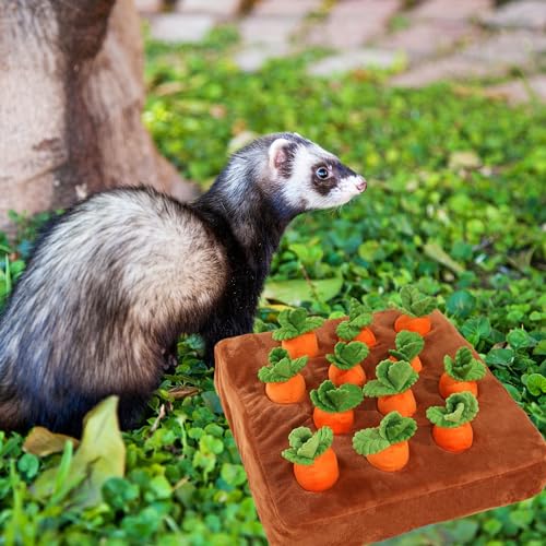 Ferret Foraging Toys Novelty Carrot Snuffle Mat Interactive Pet Treat Enrichment Toys for Small Animals Bunny Rabbit Chinchilla Guinea Pig Hamster (12Carrot) - color: 12Carrot