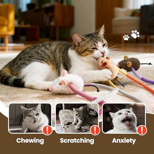 Cat Chew Ropes with Catnip Mouse, 3Pcs Cat Chew Toys for Large Cats Enrichment, 3-in-1 Catnip Toys Mouse & Strong Braided Ropes & Gall Fruits, Cats Teething Toys - color: Ropes