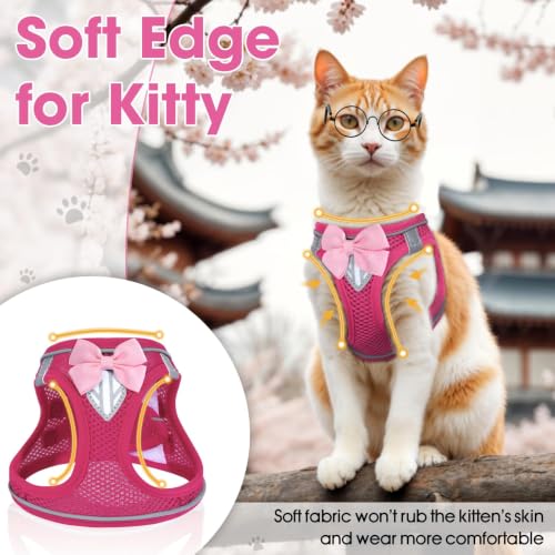 Cat Vest Harness and Leash Set, Escape Proof Kitten Harness Pink XS | Safe Reflective Strips, Adjustable Easy Wear Kitty Harness, Sturdy Clip Buckle, Breathable Mesh , for Kitty Puppy Bunny Walks - color: Pink, size: XS