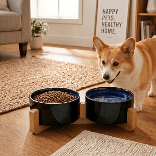 SPUNKYJUNKY Ceramic Dog and Cat Bowl Set with Wooden Stand, Modern Cute Weighted Food Water Set for Small Size Dogs (13.5OZ) & Medium Sized Dogs (28.7OZ) & Cats (3.6 Cups, 2 × Starry Blue) - color: Starry Blue × 2, size: 3.6 cups
