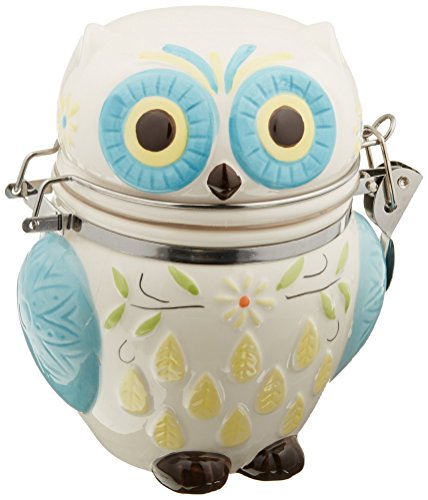 Boston Warehouse Hinged Jar with Floral Owl Design - color: Floral Owl